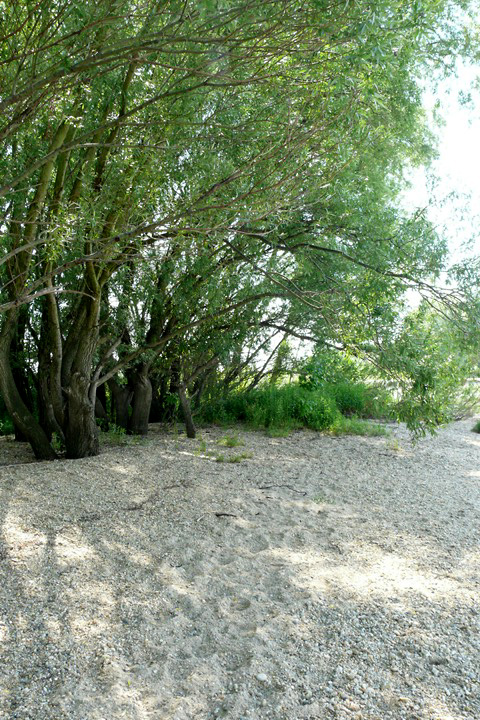 24aida080607-036